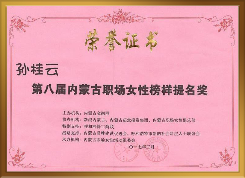 內蒙古鴻澤服飾有限公司,2017榜樣提名